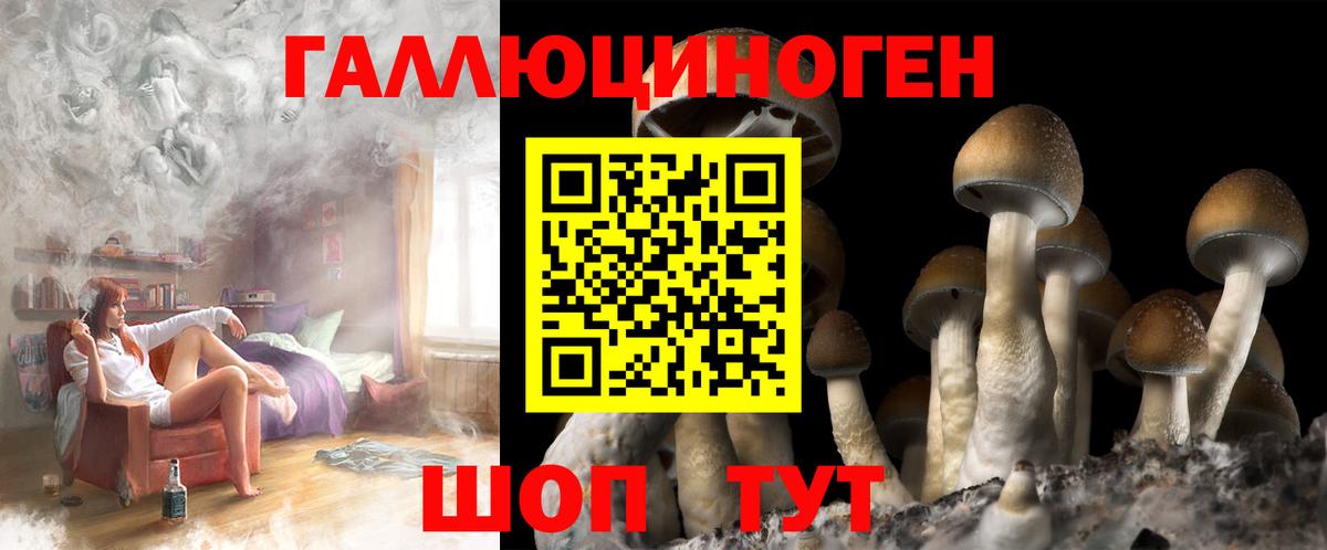 Галлюциногенные грибы Psilocybe Строитель